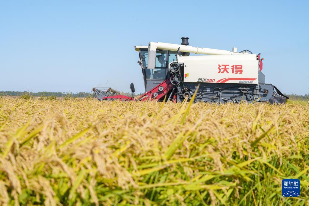 途游斗牛下载
